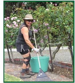 Gardening
                      Service